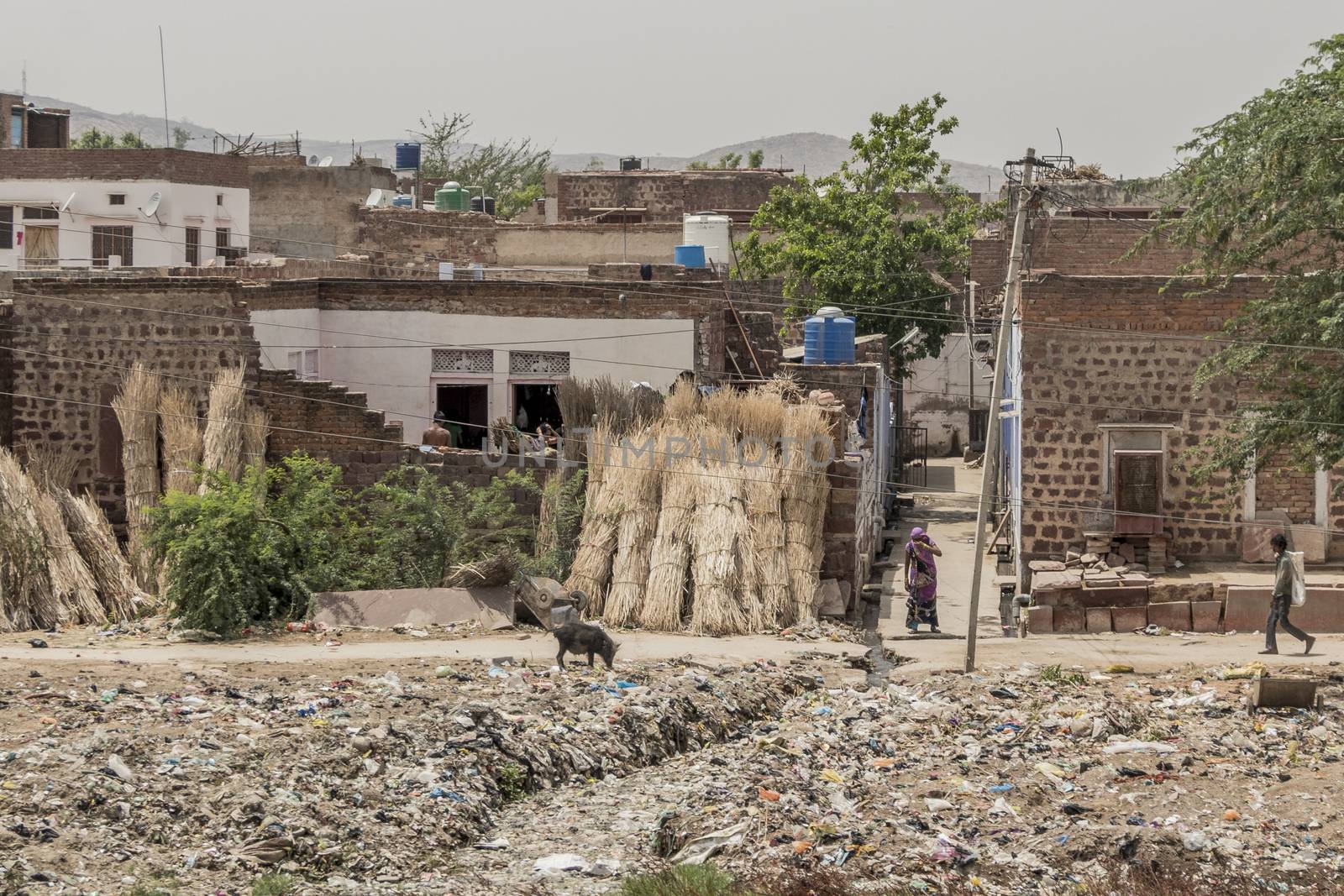 Garbage, poverty and heat in Rajasthan India. by Arkadij