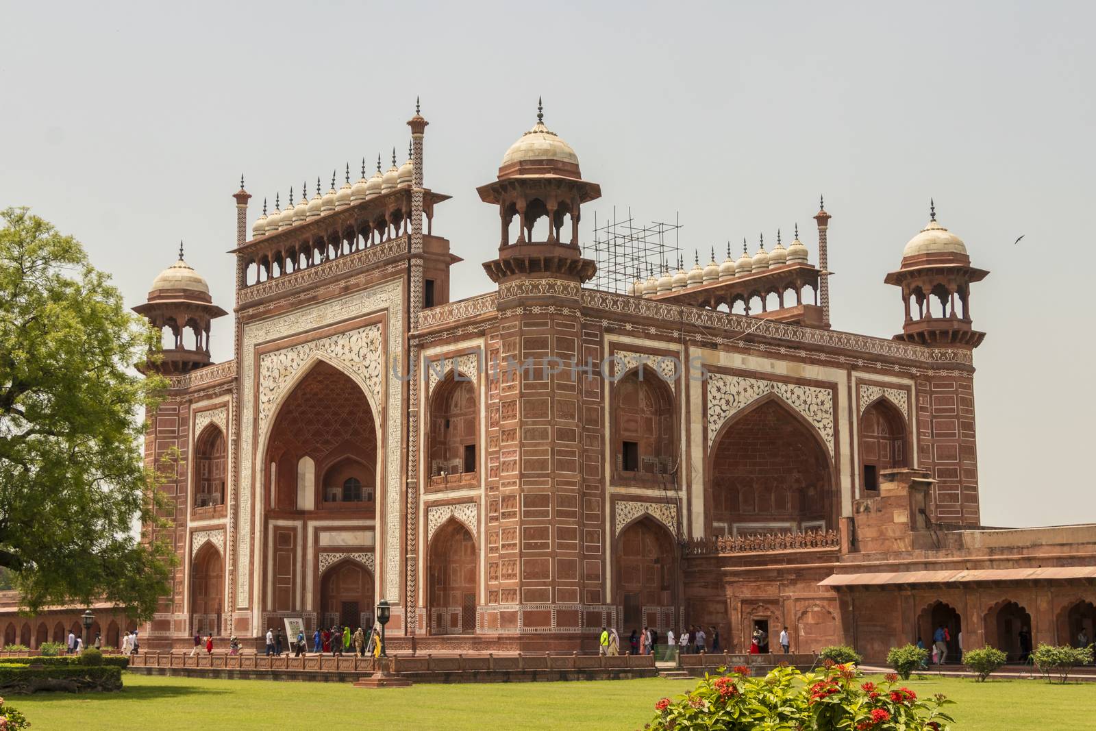 Taj Mahal Kau Ban Mosque in Agra, Uttar Pradesh, India. by Arkadij