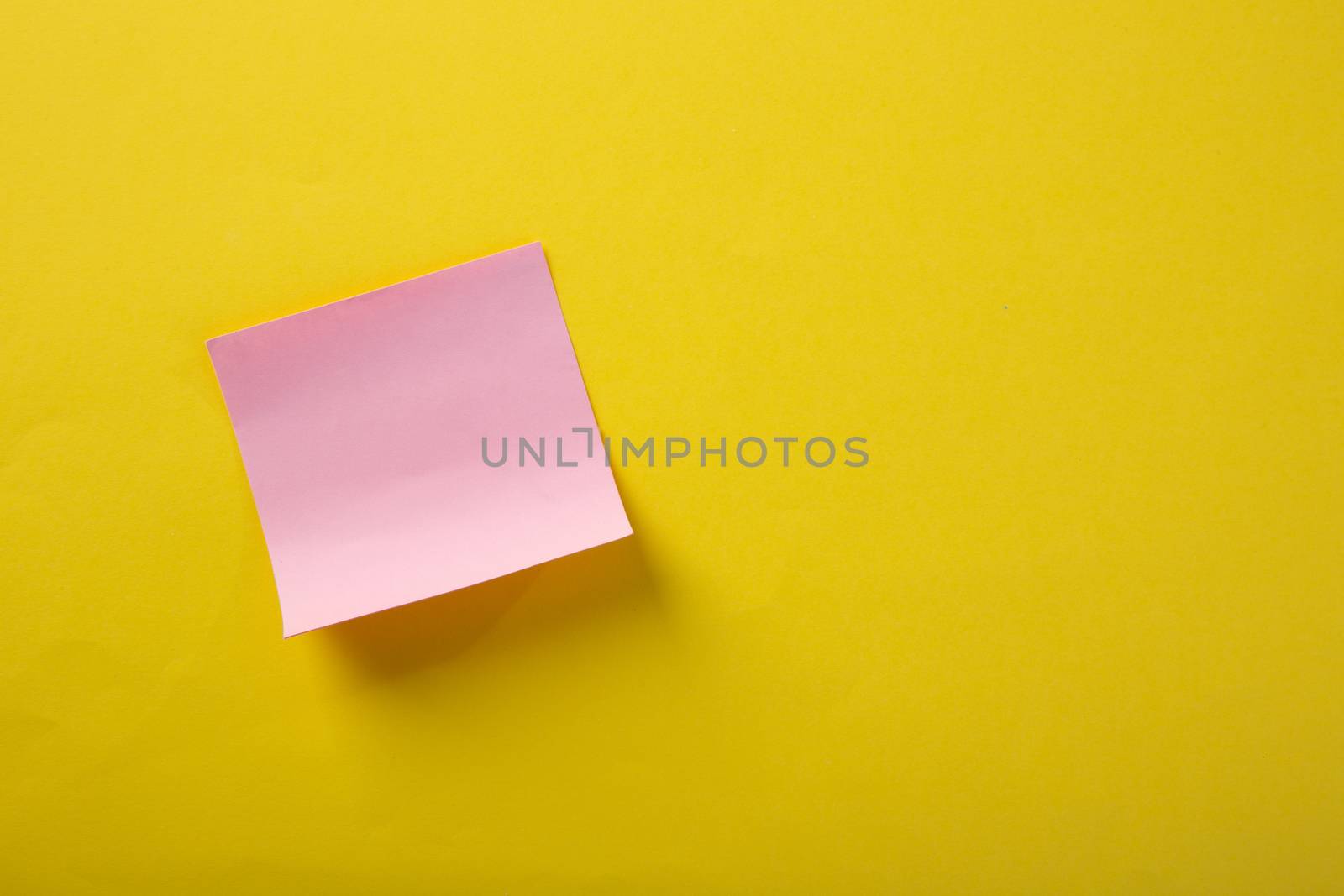 color blank notepad on color background