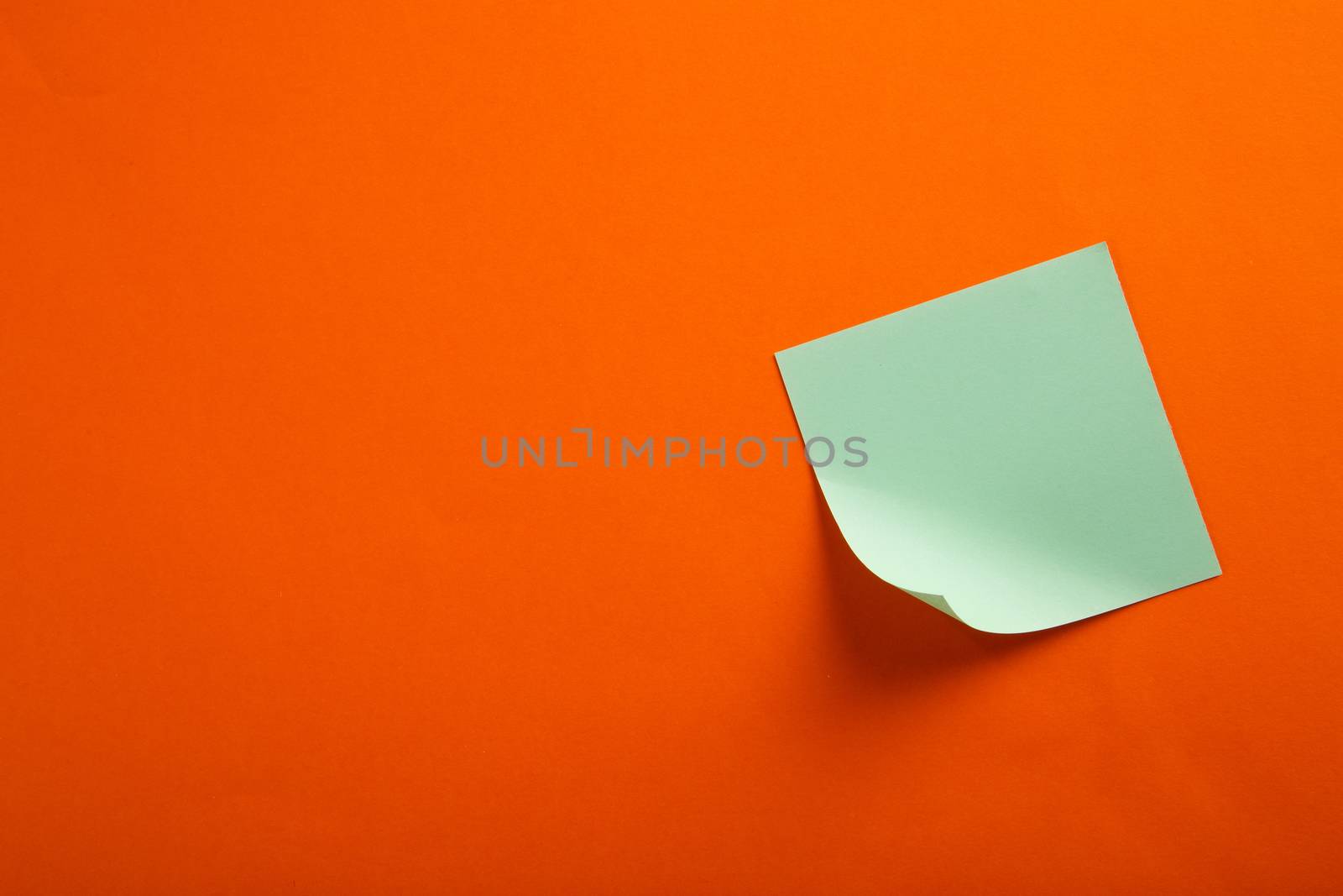 color blank notepad on color background