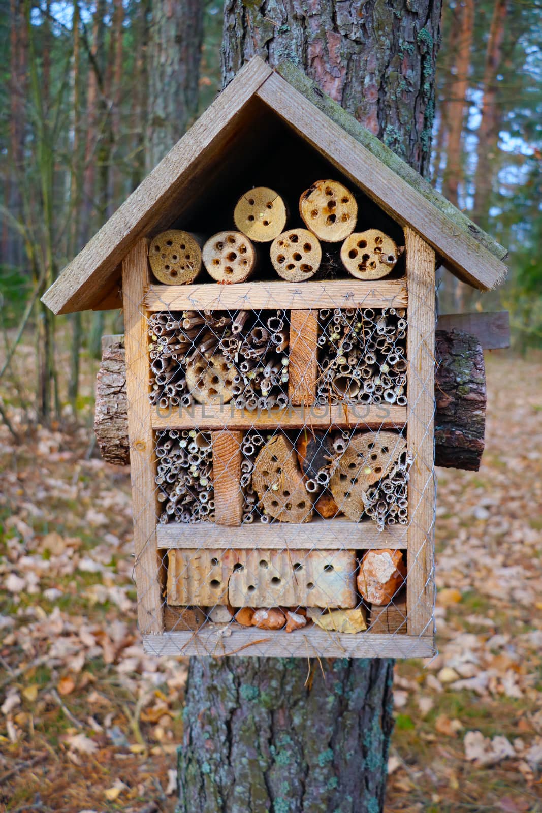 Small house for small insects before wintering