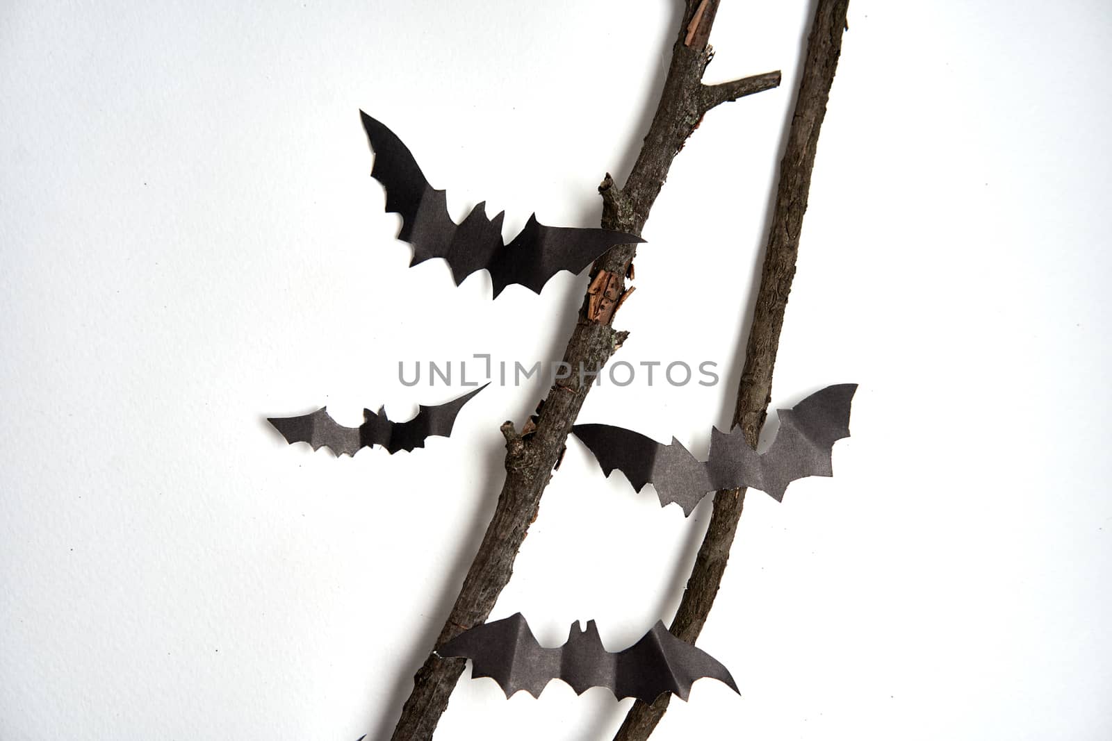 Halloween decoration concept black paper bats dry branch stick white cardboard background With copy space for tetxt