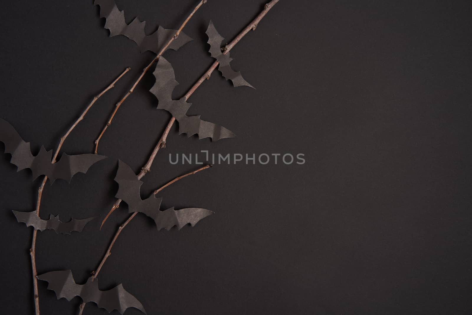 Halloween decoration concept black paper bats dry branch stick black cardboard background With copy space for tetxt