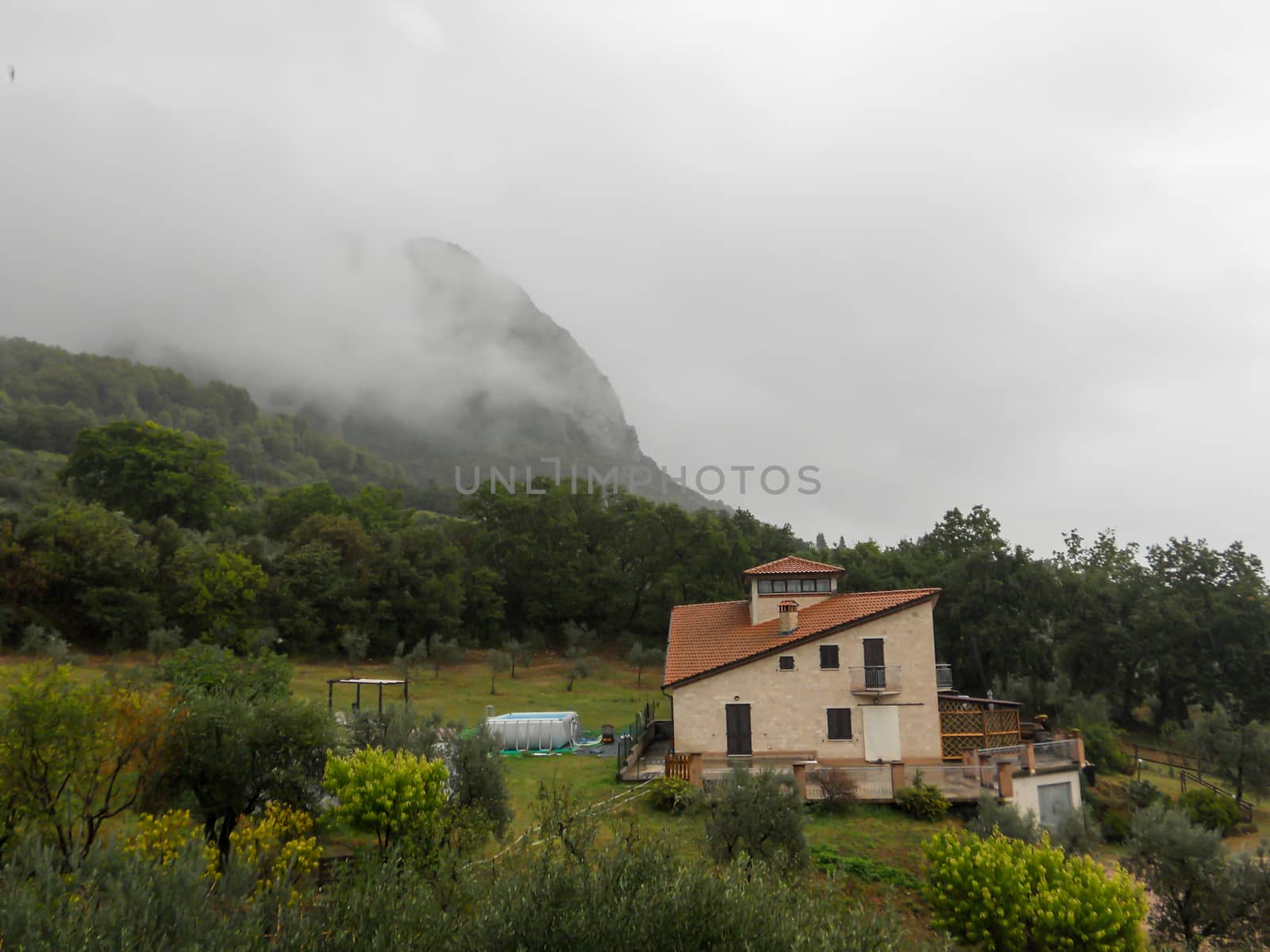 landscape during a rainy day with fog