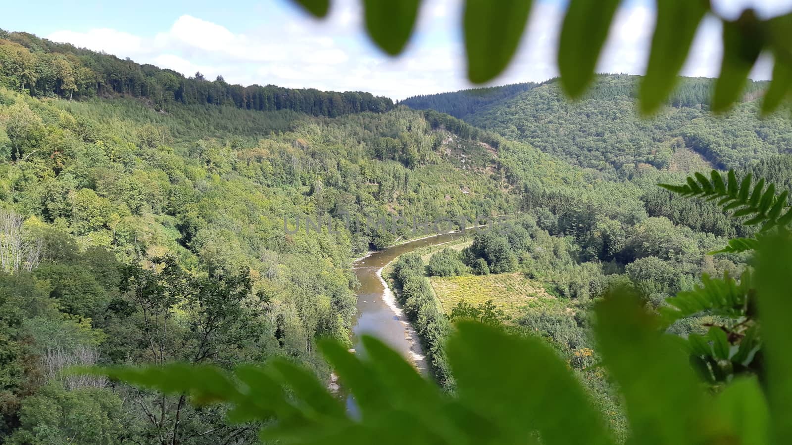 River Semois, Bouillon area, close to Rochehaut, as seen on the Les Echelles or laddertjeswandeling hike. Nature and landscape in Wallonia, Belgium