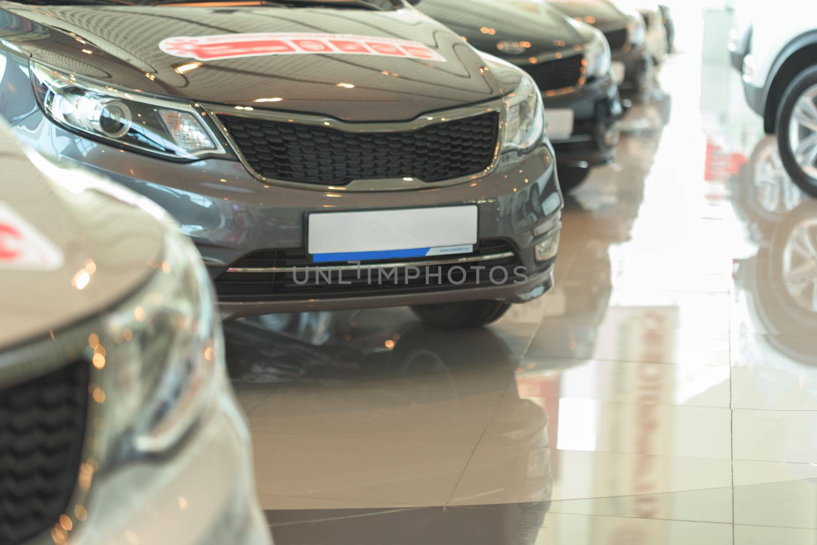 Car sales. Automobile in sales salon. Cars for sale