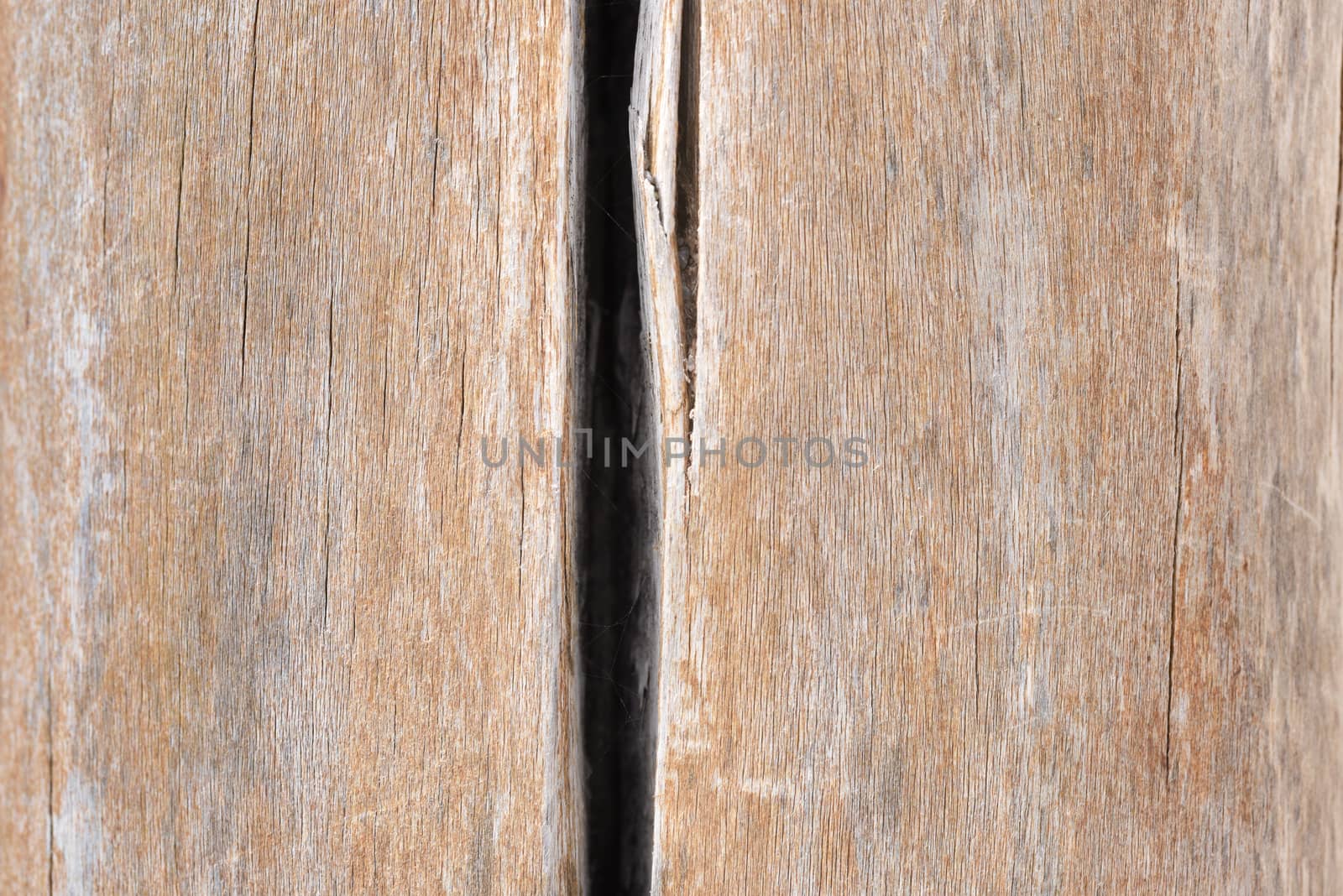 Background of old boards. Wood texture with natural patterns