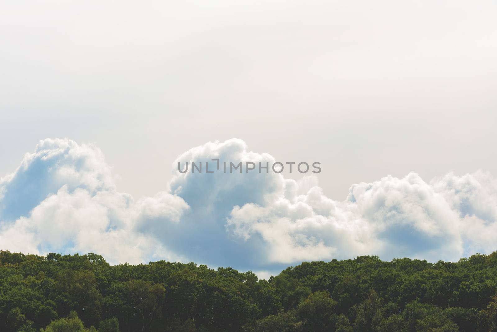Cloud background. White clouds in the sky. White sky.