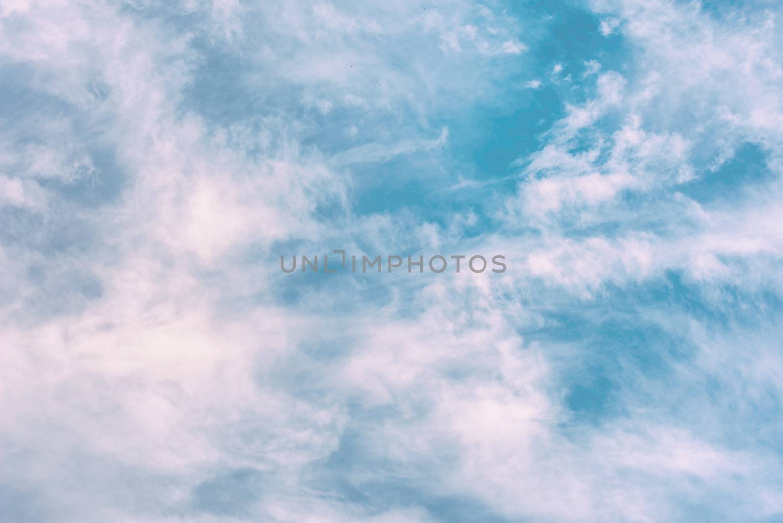 Cloud background. White clouds in the sky. Blue sky.