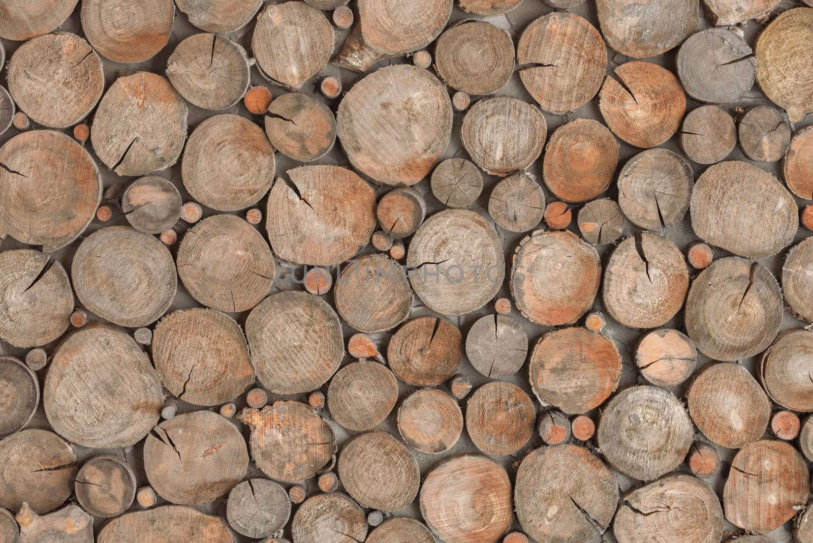 Decorative log wall. Round wood stump background