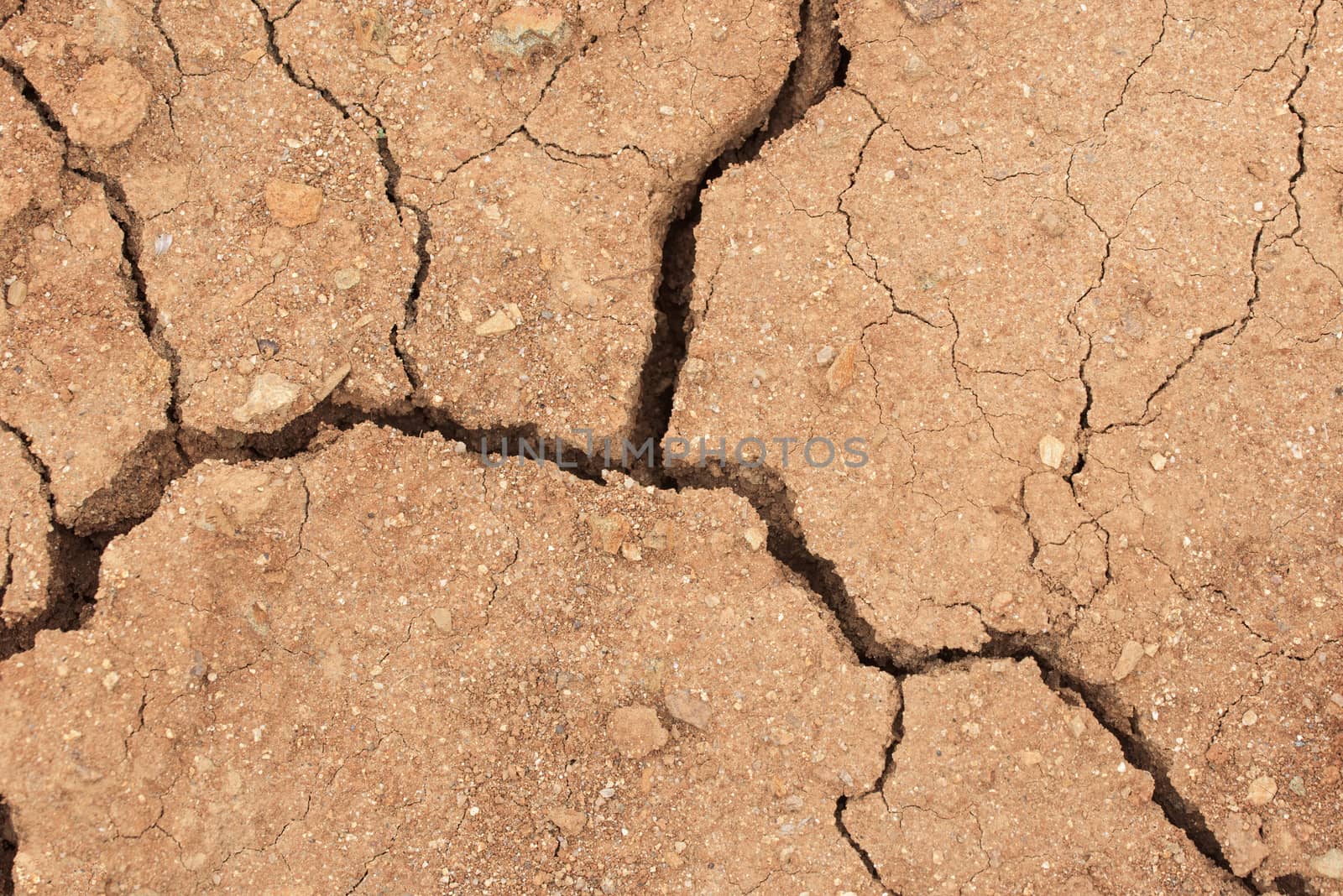dry land with cracks by Visual-Content