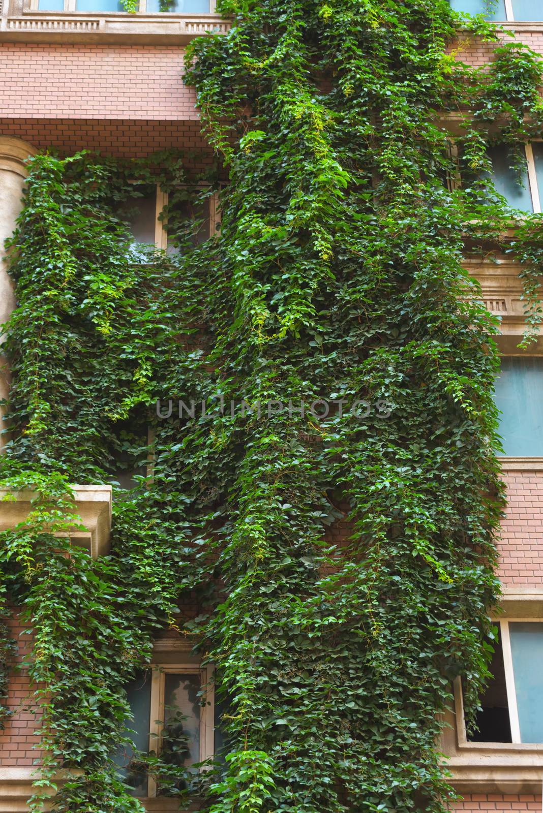 Green building with plants growing on the facade. Green living wall