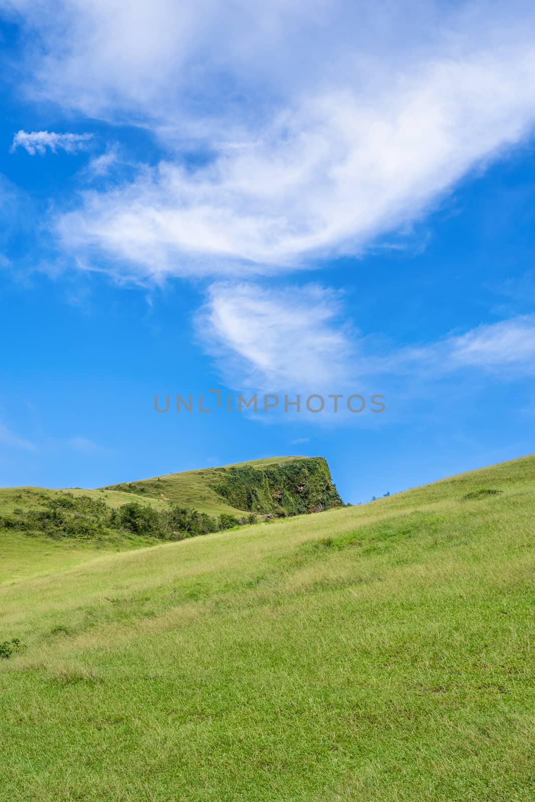 Beautiful grassland, prairie in Taoyuan Valley, Caoling Mountain Trail passes over the peak of Mt. Wankengtou in Taiwan.