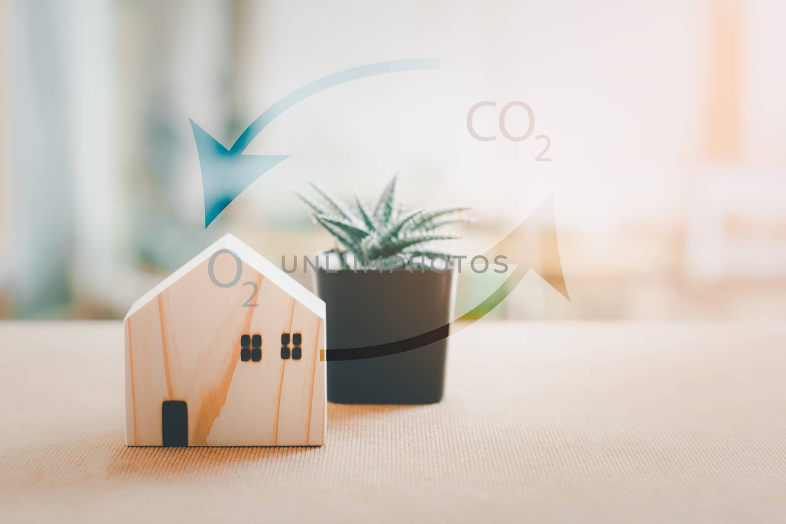 Air filtering plant in the home concept. Wooden home model with blurry plant change carbon dioxide to oxygen with copy space. 