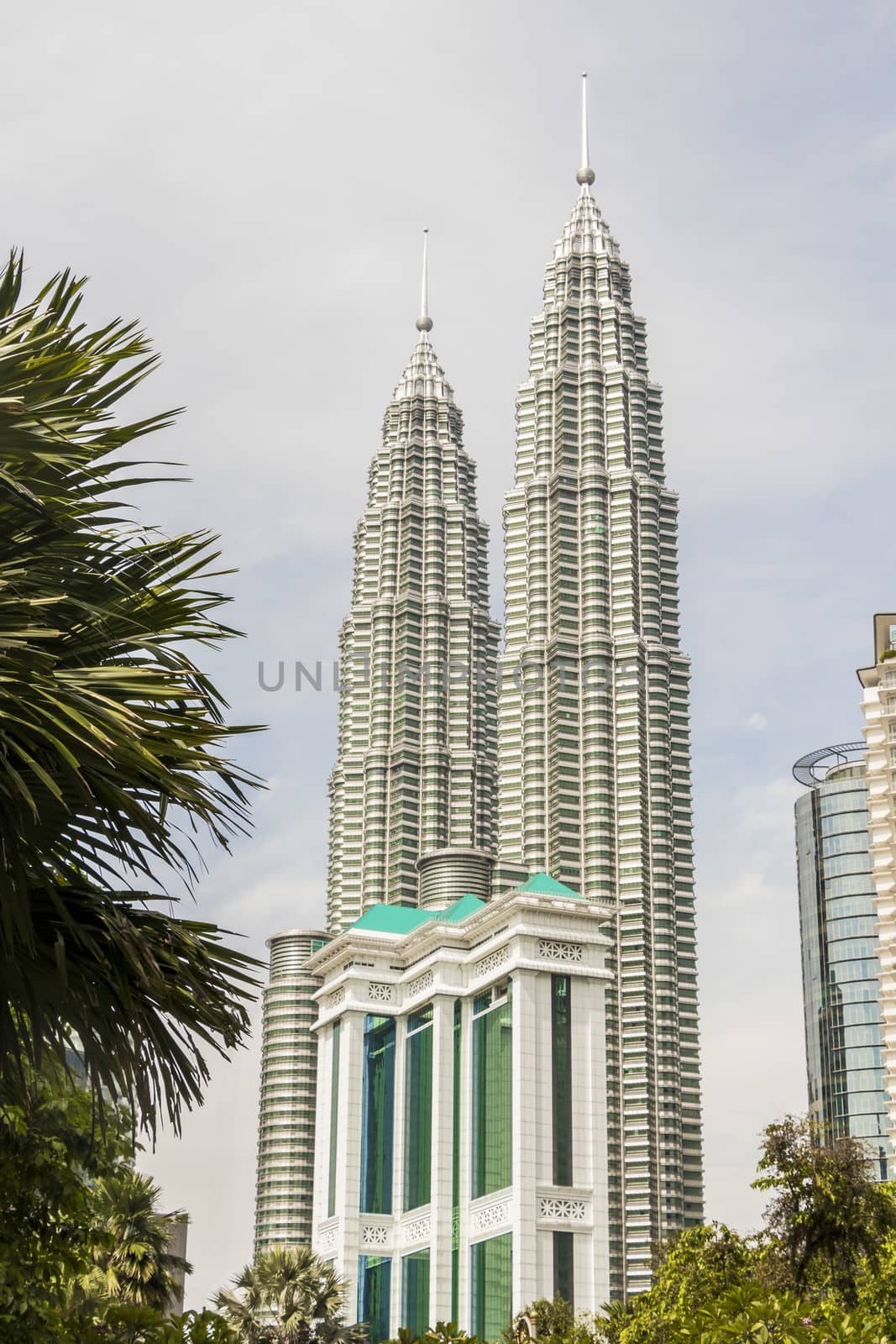 Amazing Petronas Twin Towers highest skyscrapers in Kuala Lumpur, Malaysia. Between palms view.