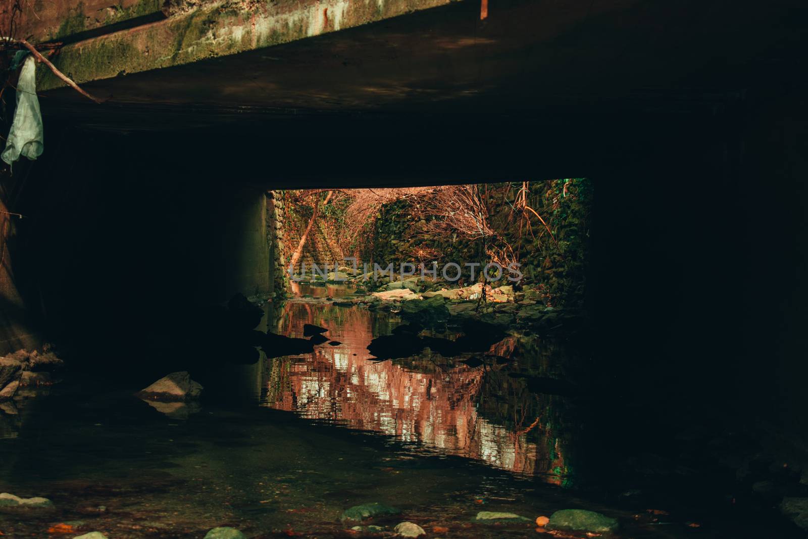 A Shallow Creek Flowing Under a Concrete Bridge Surrounded by Rocks, Leaves, and Sticks
