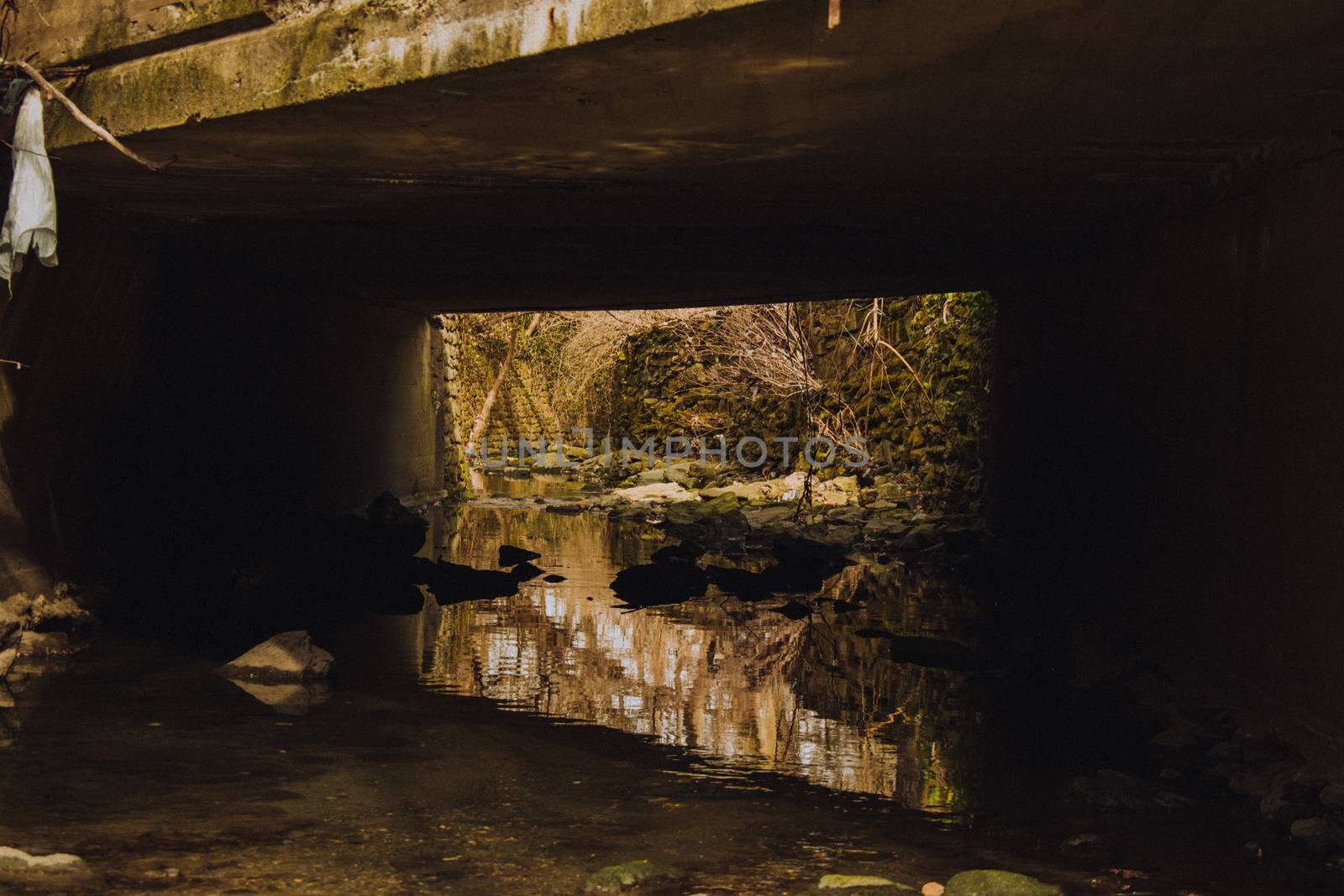 A Shallow Creek Flowing Under a Concrete Bridge Surrounded by Rocks, Leaves, and Sticks
