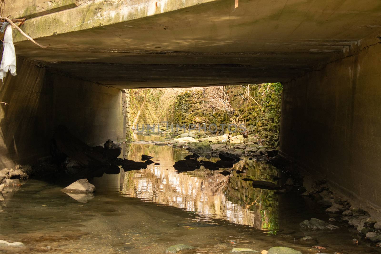 A Shallow Creek Flowing Under a Concrete Bridge Surrounded by Fo by bju12290