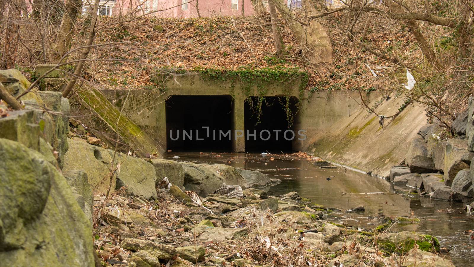 A Dark Tunnel in a Shallow Creek in an Autumn Forest by bju12290