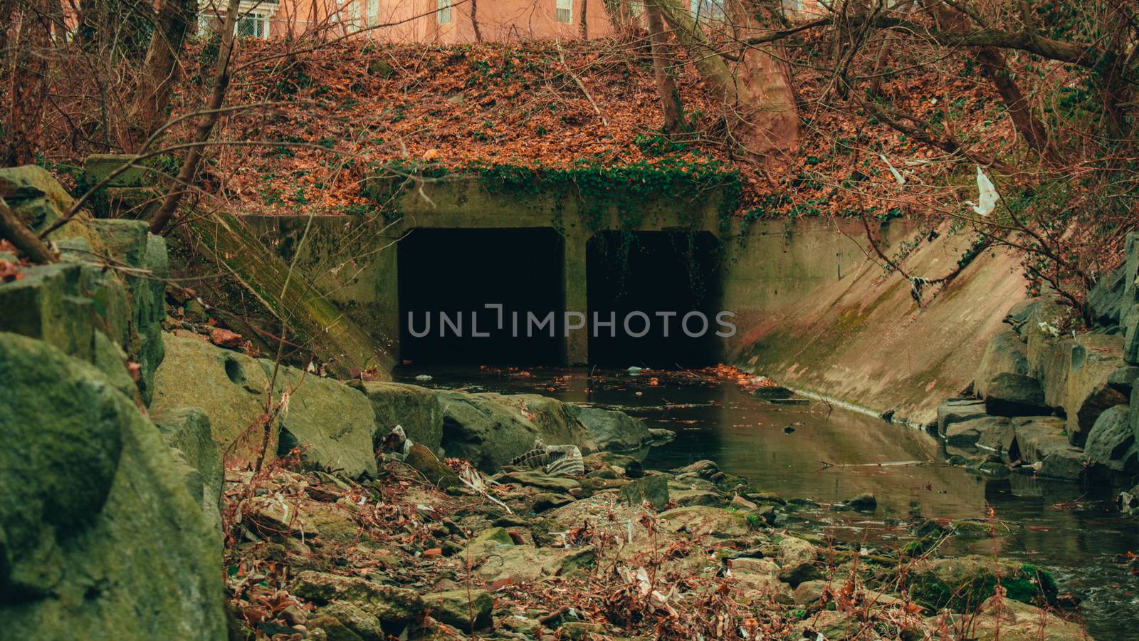 A Dark and Spooky TUnnel in a Shallow Creek in an Autumn Forest