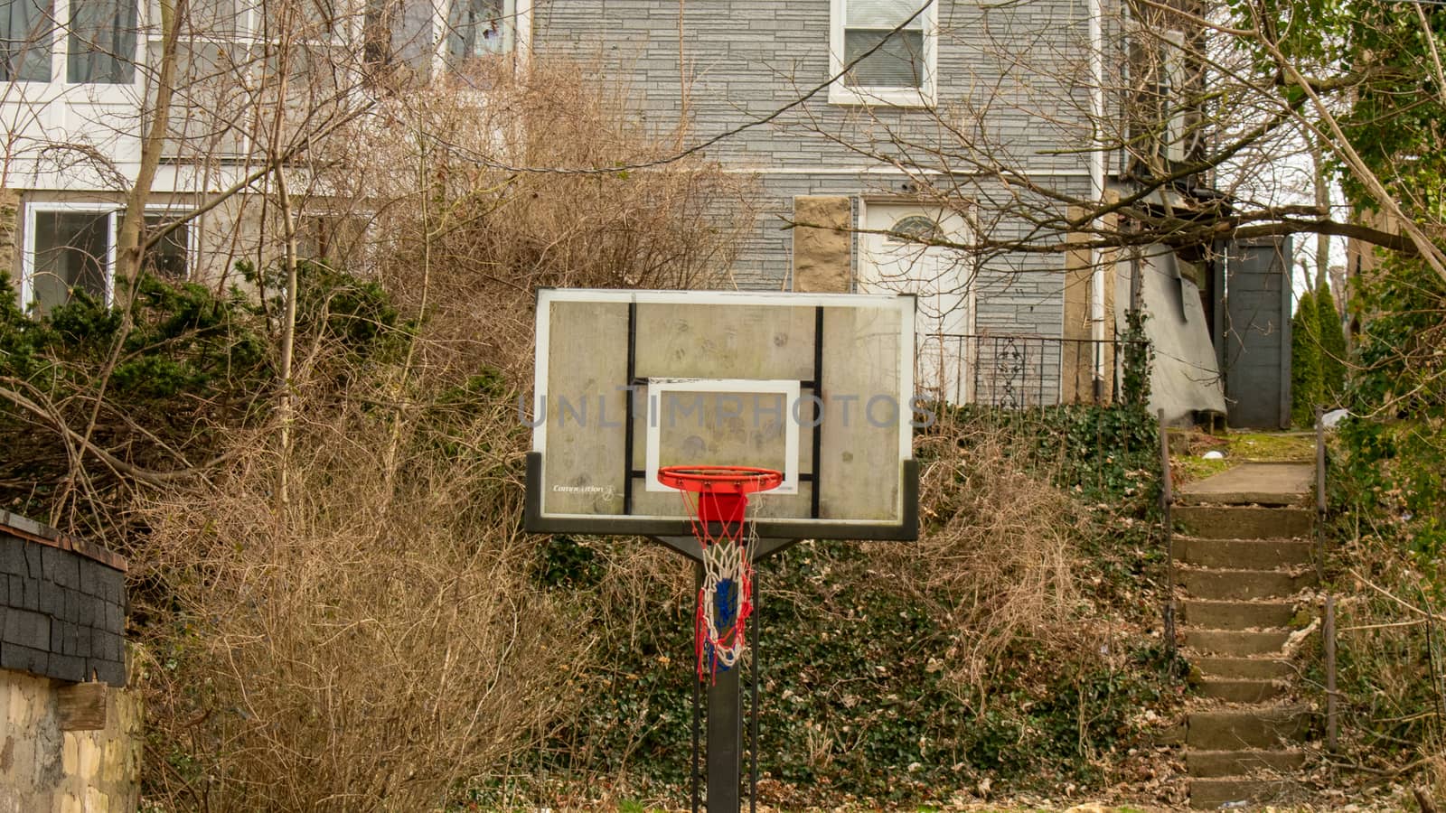 A Basketball Net Hanging in Front of an Overgrown Suburban Home