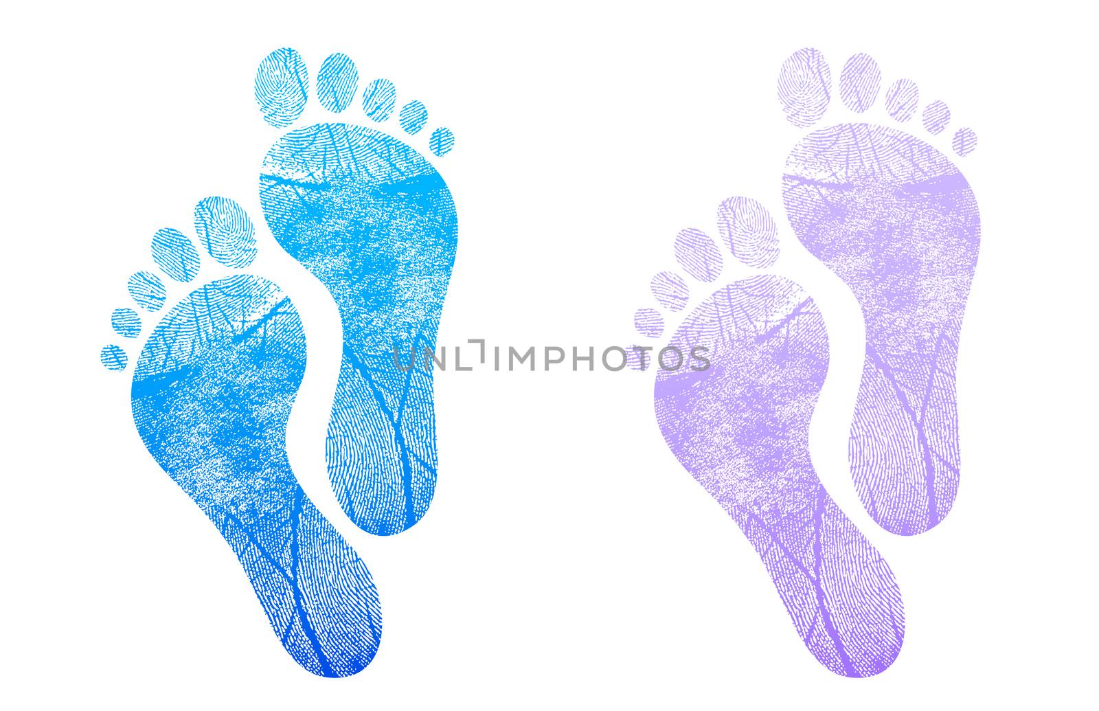 Baby footprint blue, pink illustration design on white