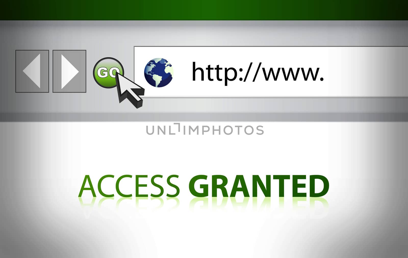 Website access granted illustration design