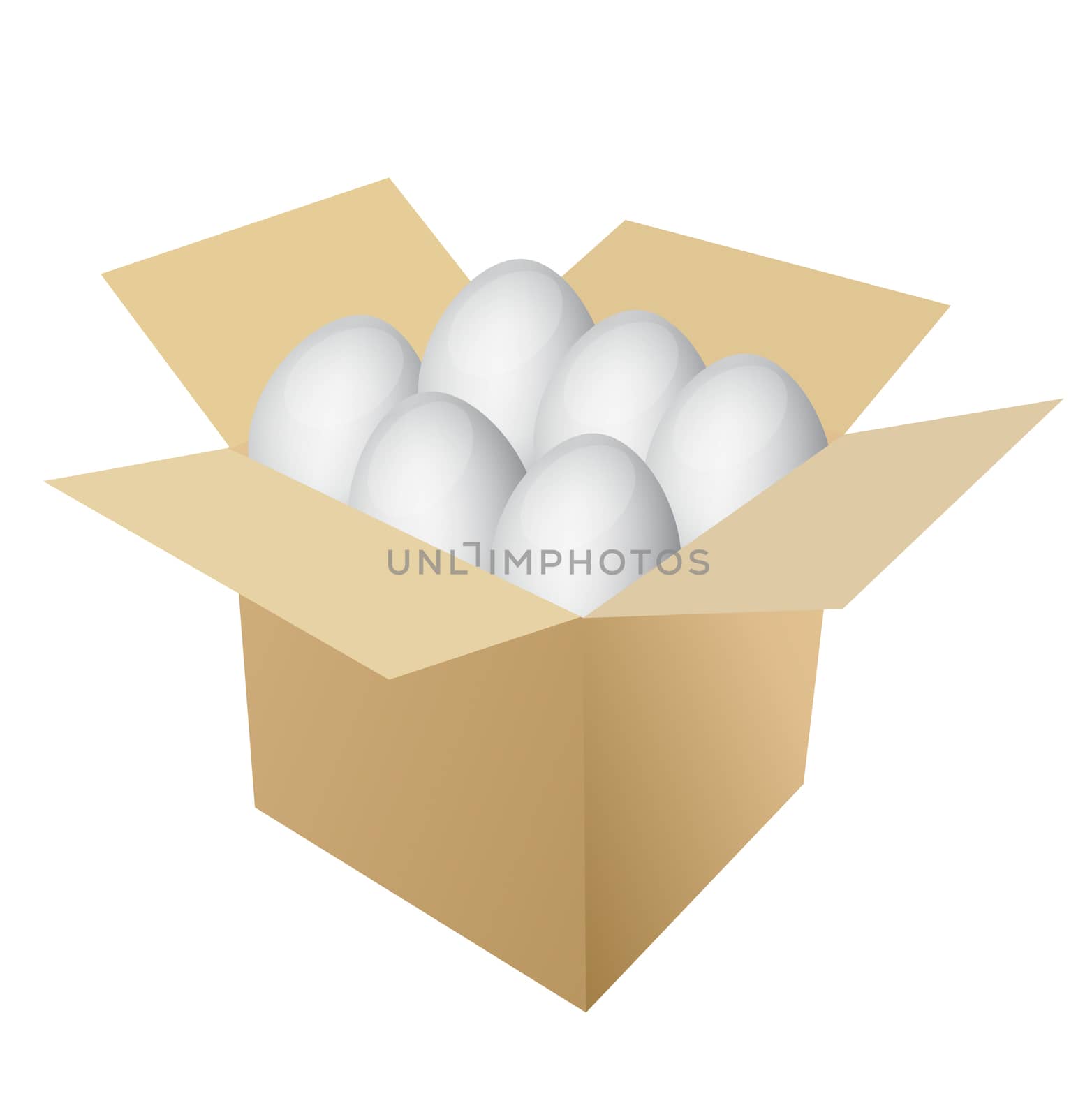 eggs inside a box illustration over white