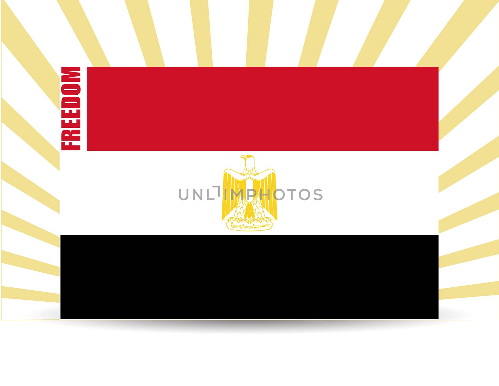 Freedom egypt flag illustration design with rays of light
