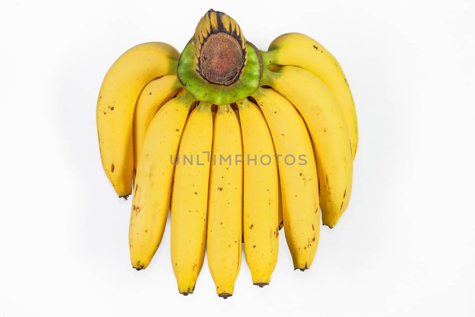 Bananas isolated on the white background.