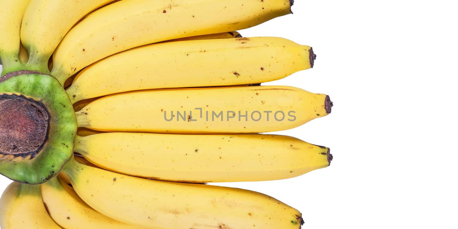 Bananas isolated on the white background.