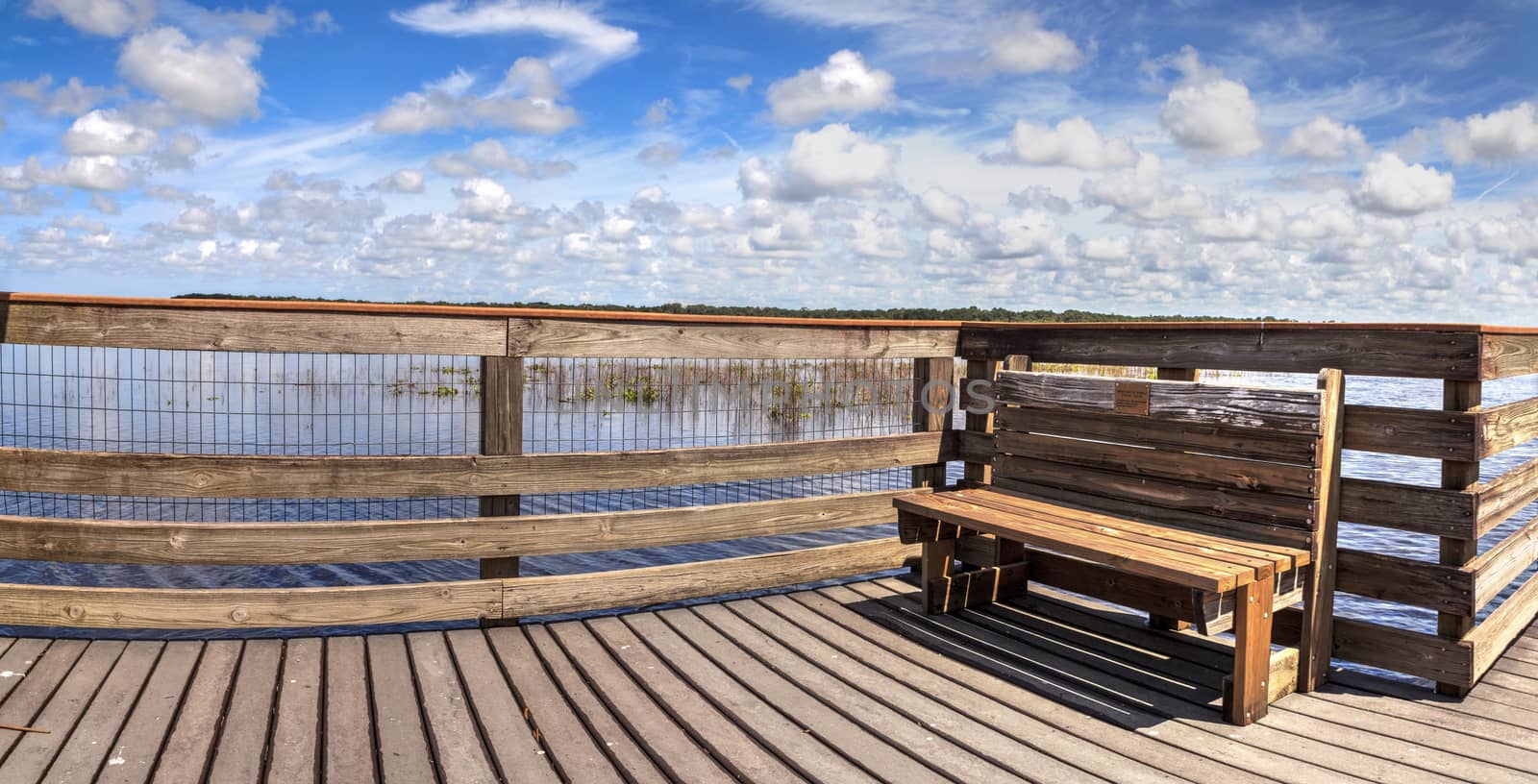Boardwalk with benches overlooking the flooded swamp of Myakka River State Park in Sarasota, Florida.