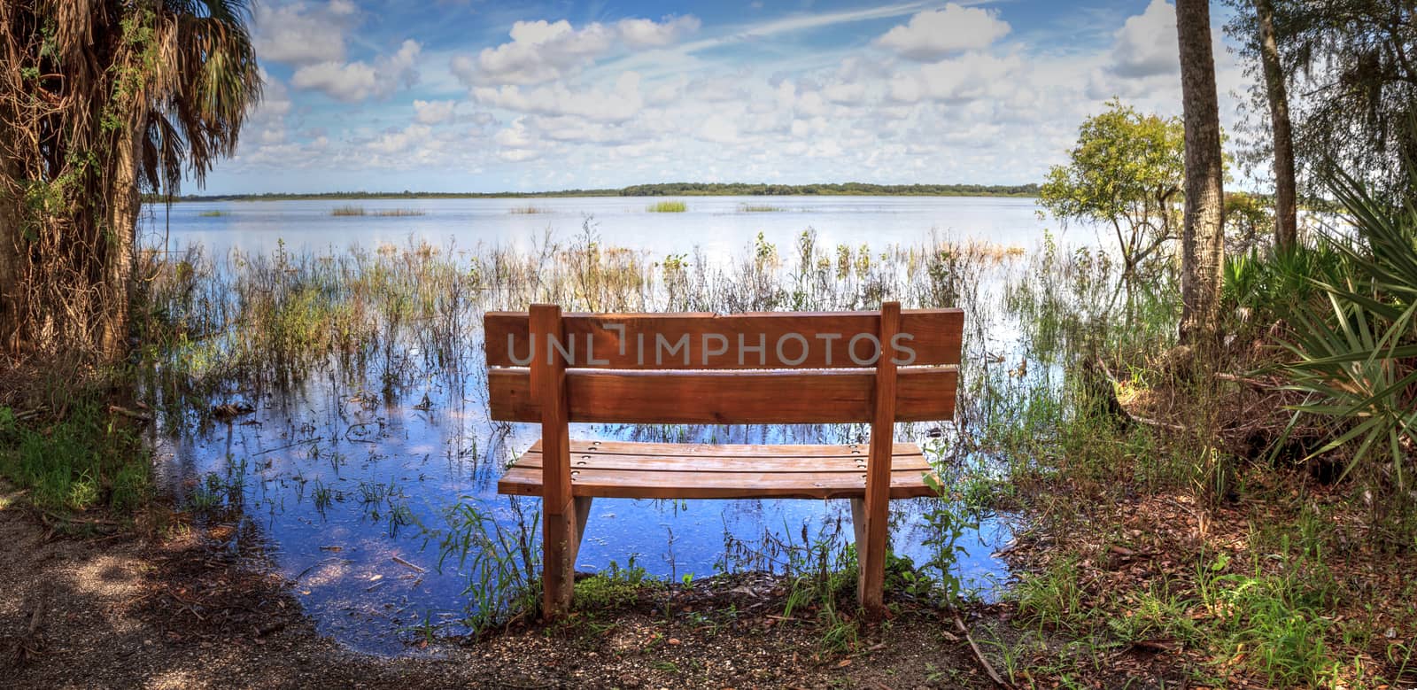 Bench overlooks the flooded swamp of Myakka River State Park in Sarasota, Florida.