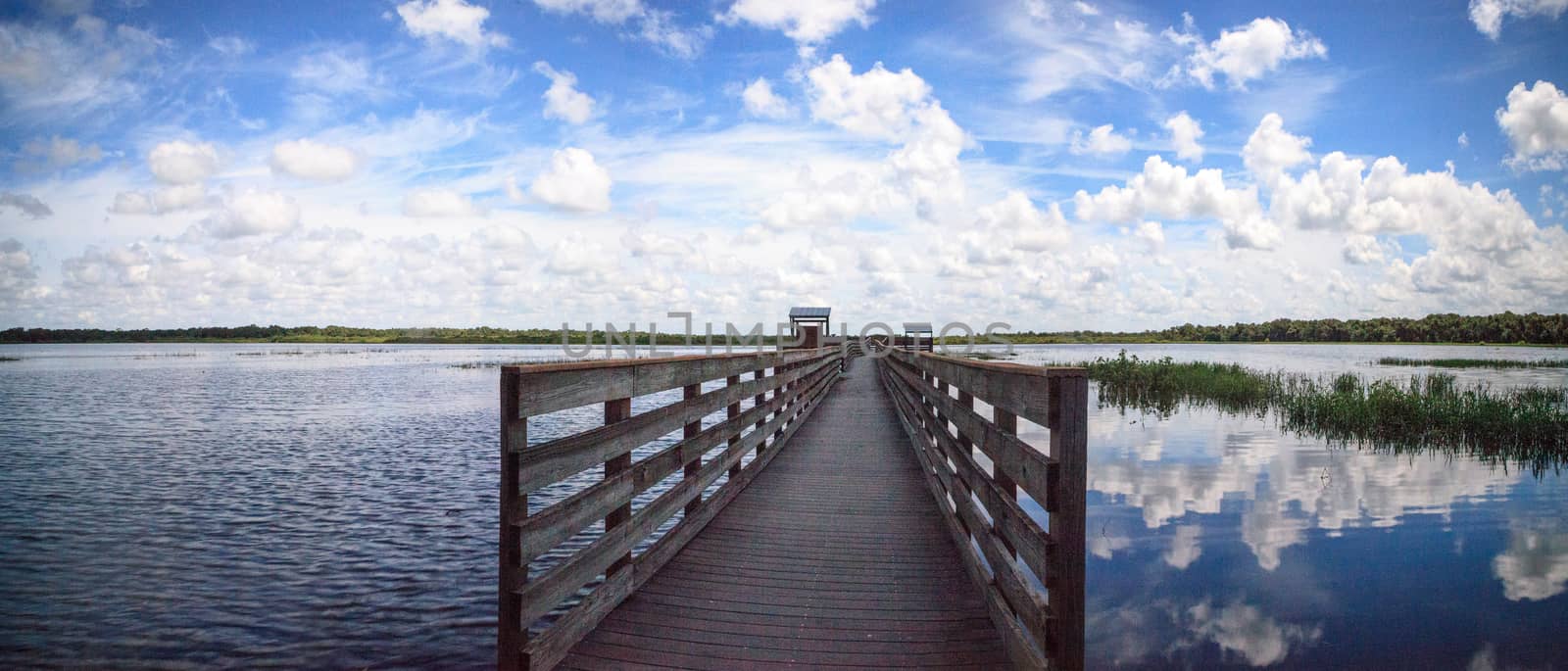 Boardwalk overlooking the flooded swamp of Myakka River State Pa by steffstarr