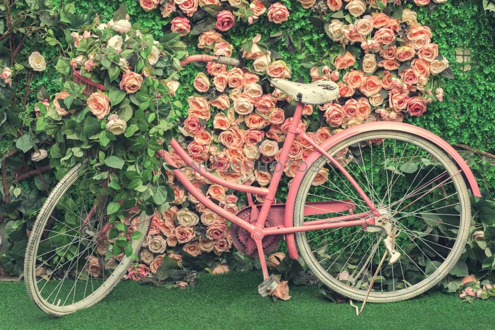 Flowers and bicycle. Bicycle in a garden