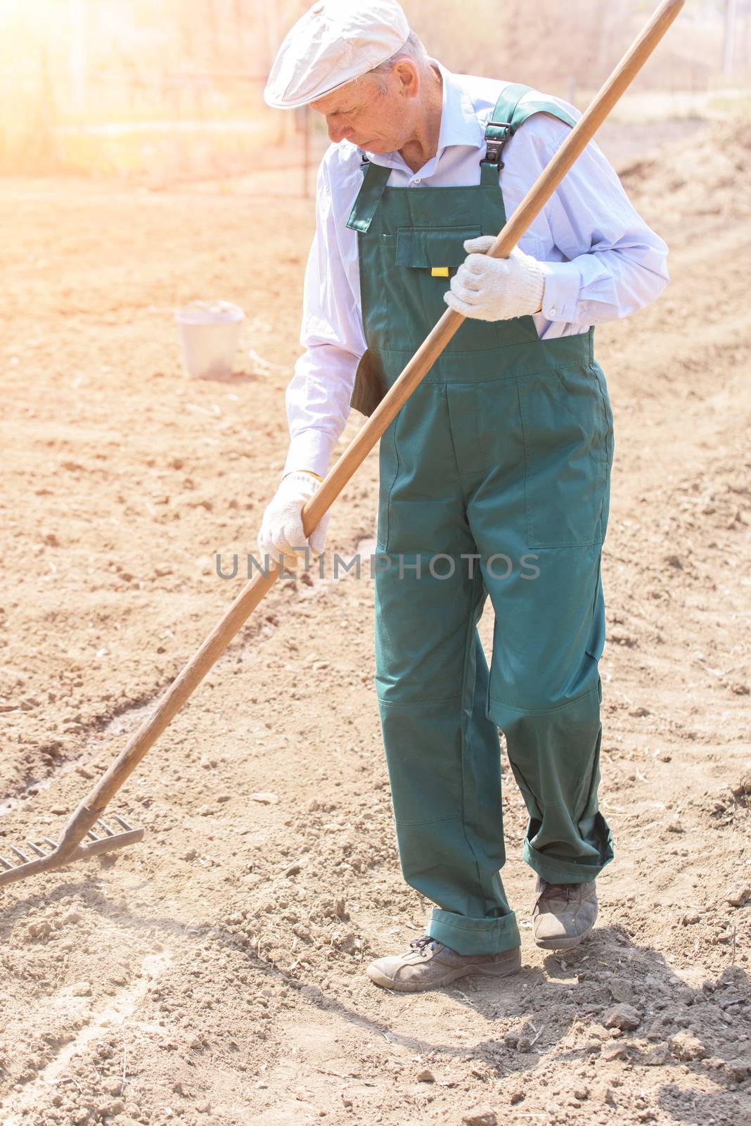 Farmer or employee working in the field.