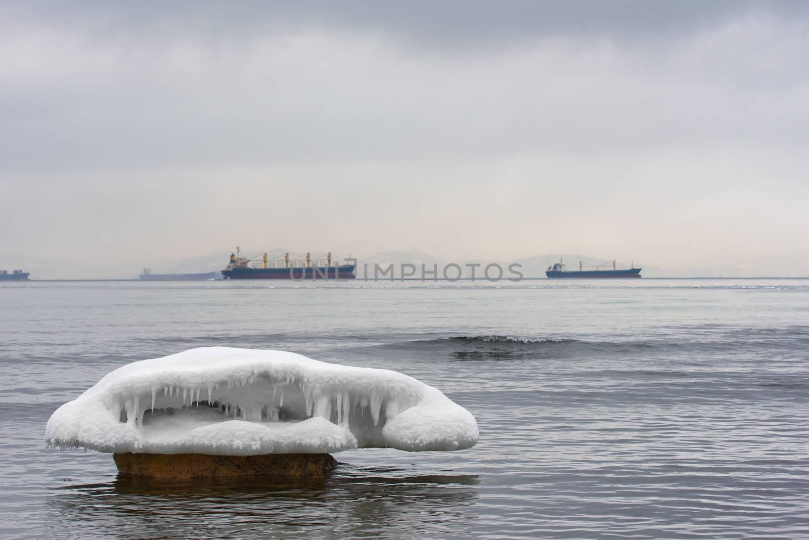 Ice floe on sea. Sea landscape in winter