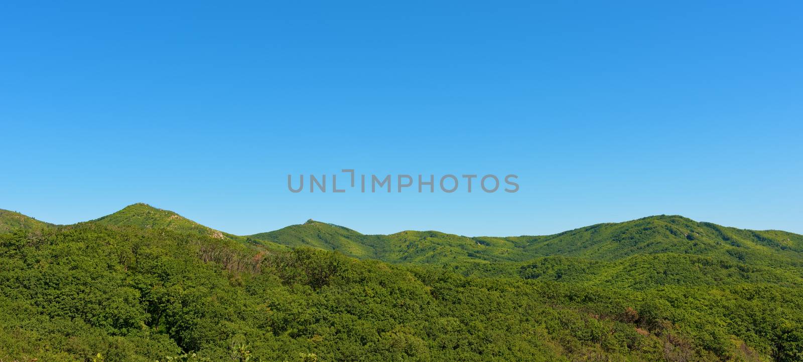 Summer mountains and blue sky landscape. Green mountains