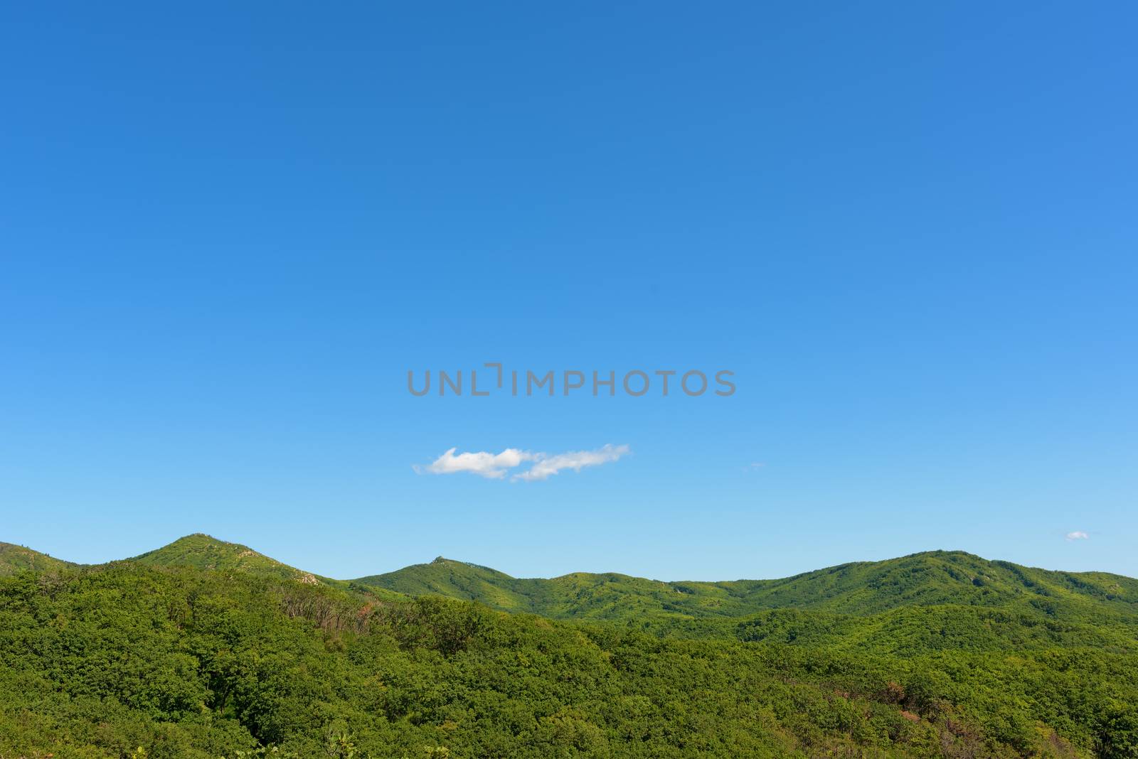 Summer mountains and blue sky landscape. Green mountains