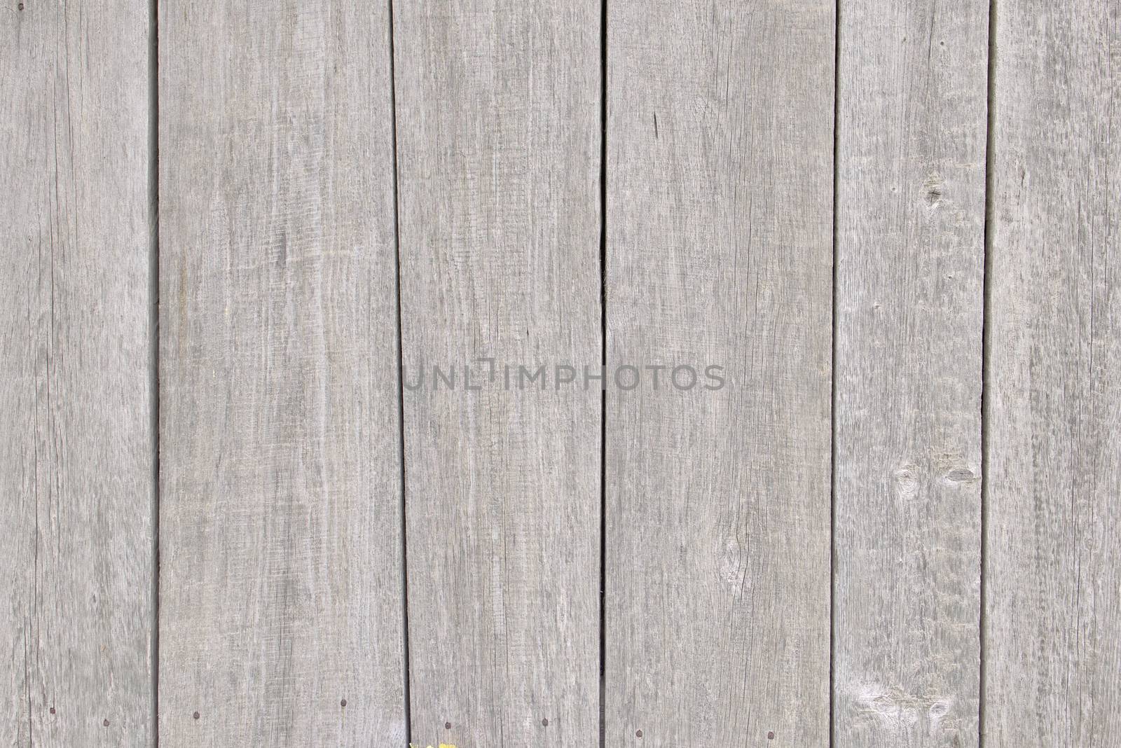 Old wall of boards. Wood background. Wood texture