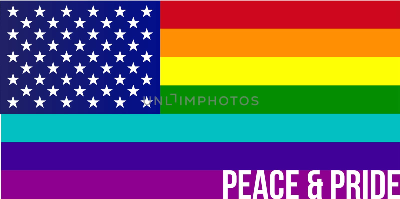 Flag of Rainbow united states illustration design