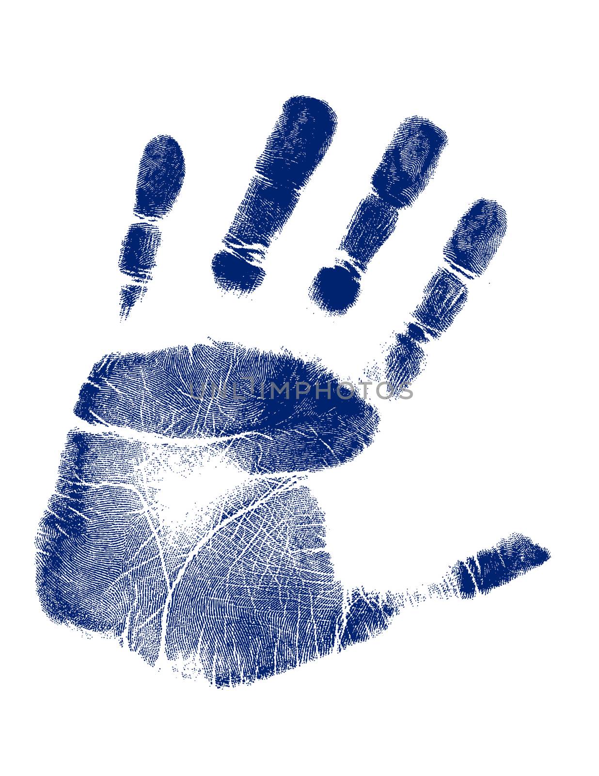 Blue hand-print shape over white background.