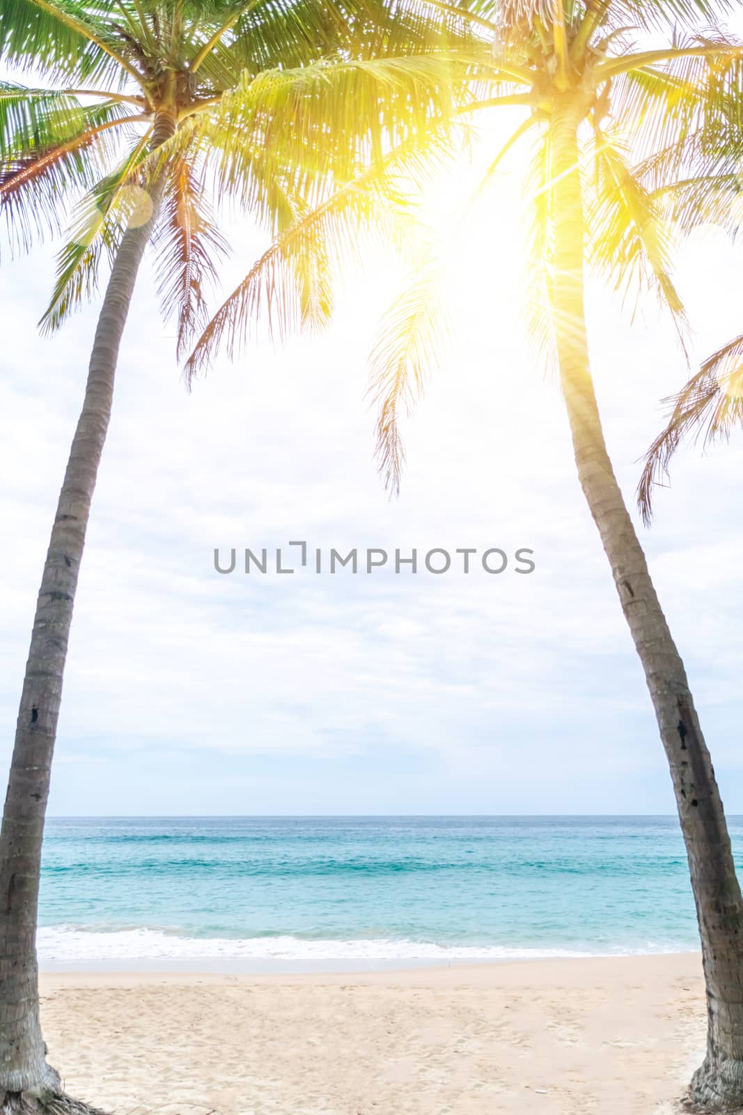 tropical palms tree at summer beach with blue sky and sun light. by Suwant
