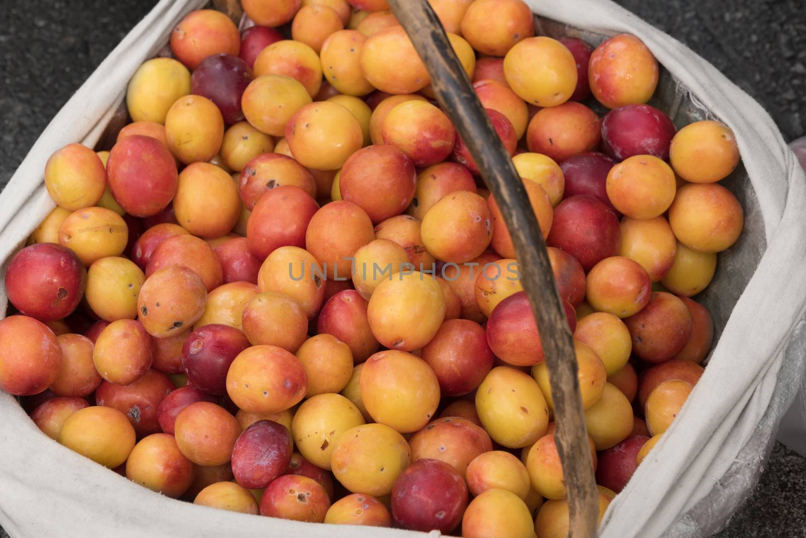 Fruit basket. Red and yellow plums. Ripe plum