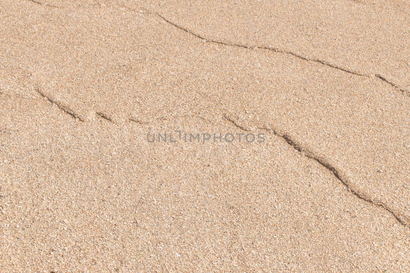 Sand texture. Sand on the beach. Sandy beach for background. Top view