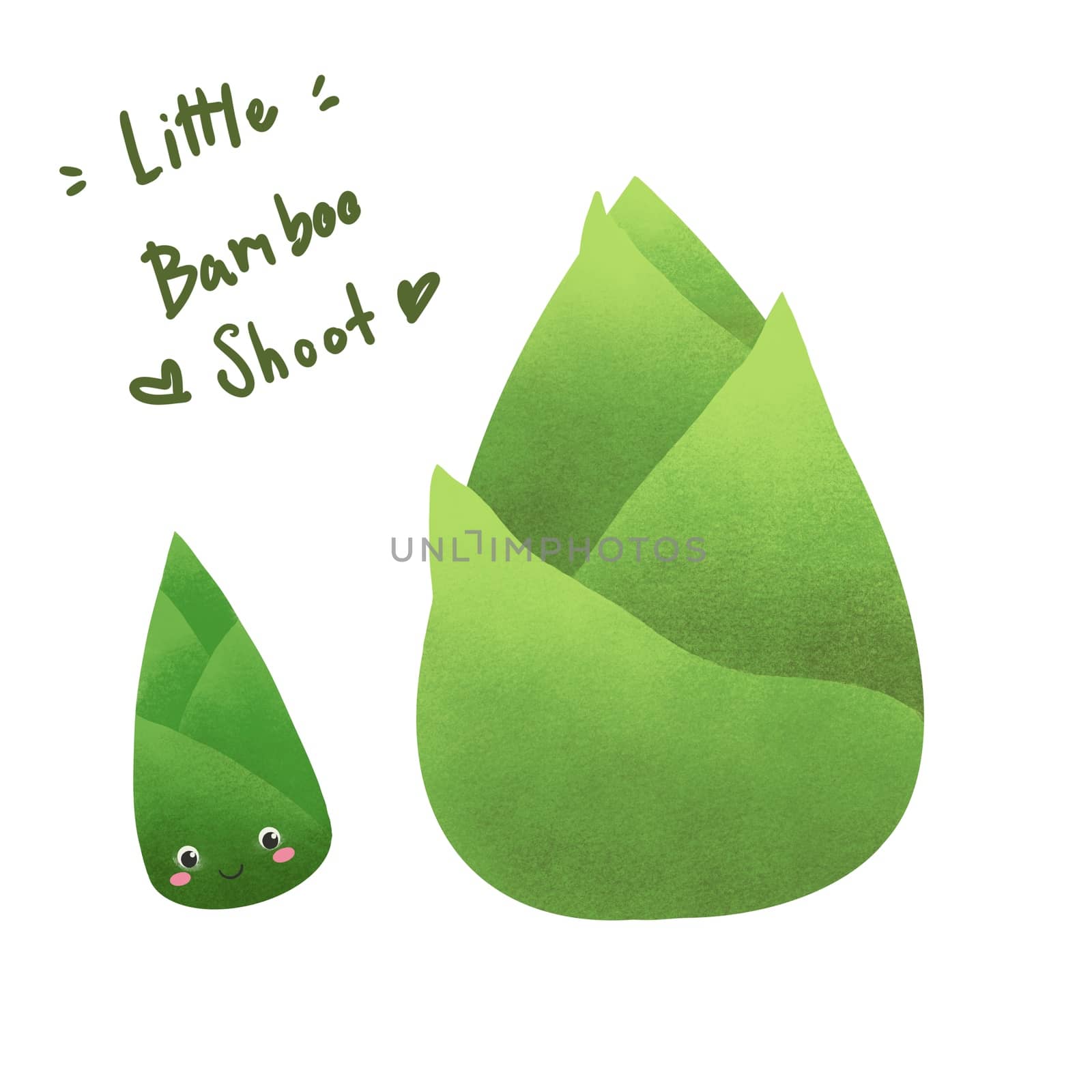 Set of little bamboo shoot on white background. Digital painting. Fresh organic food in cartoon style.