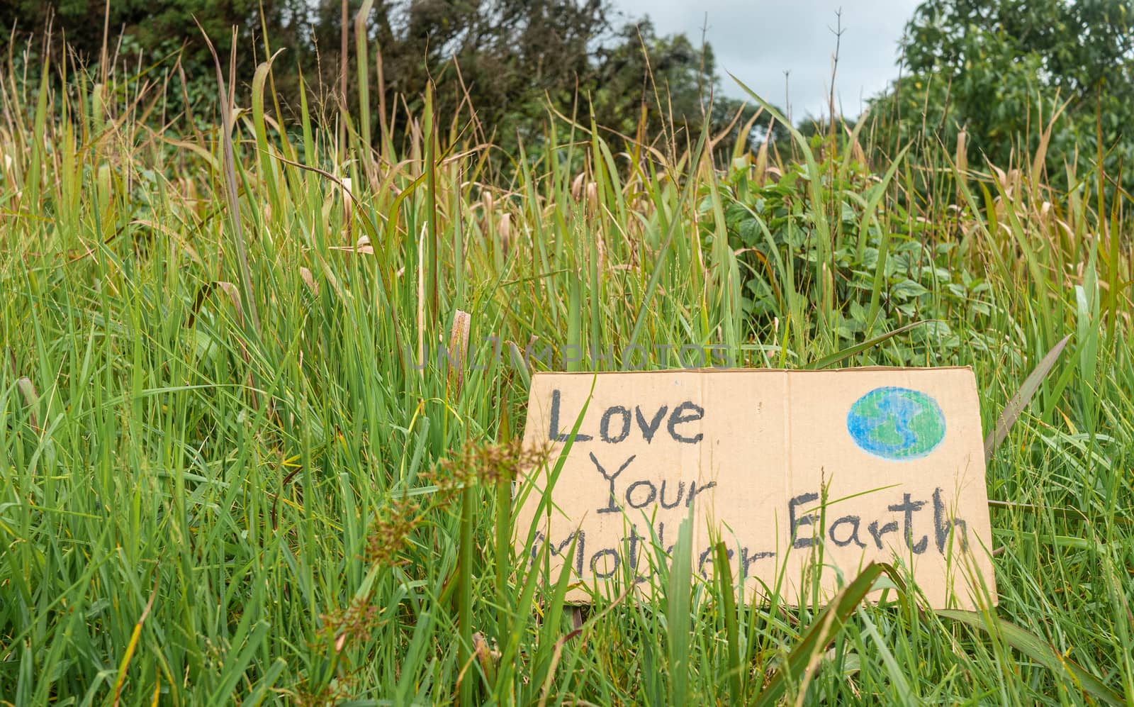 The nature conservation sign on nature background. The concept of World Environment Day. Zero waste.