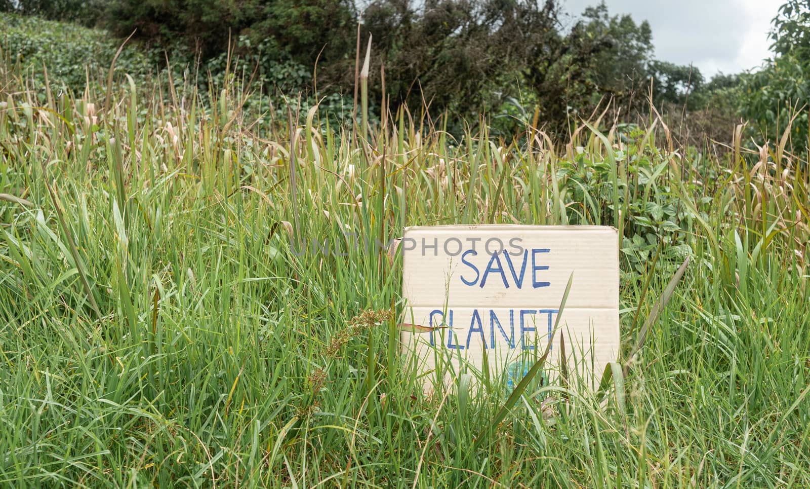 The nature conservation sign on nature background. The concept of World Environment Day. Zero waste.