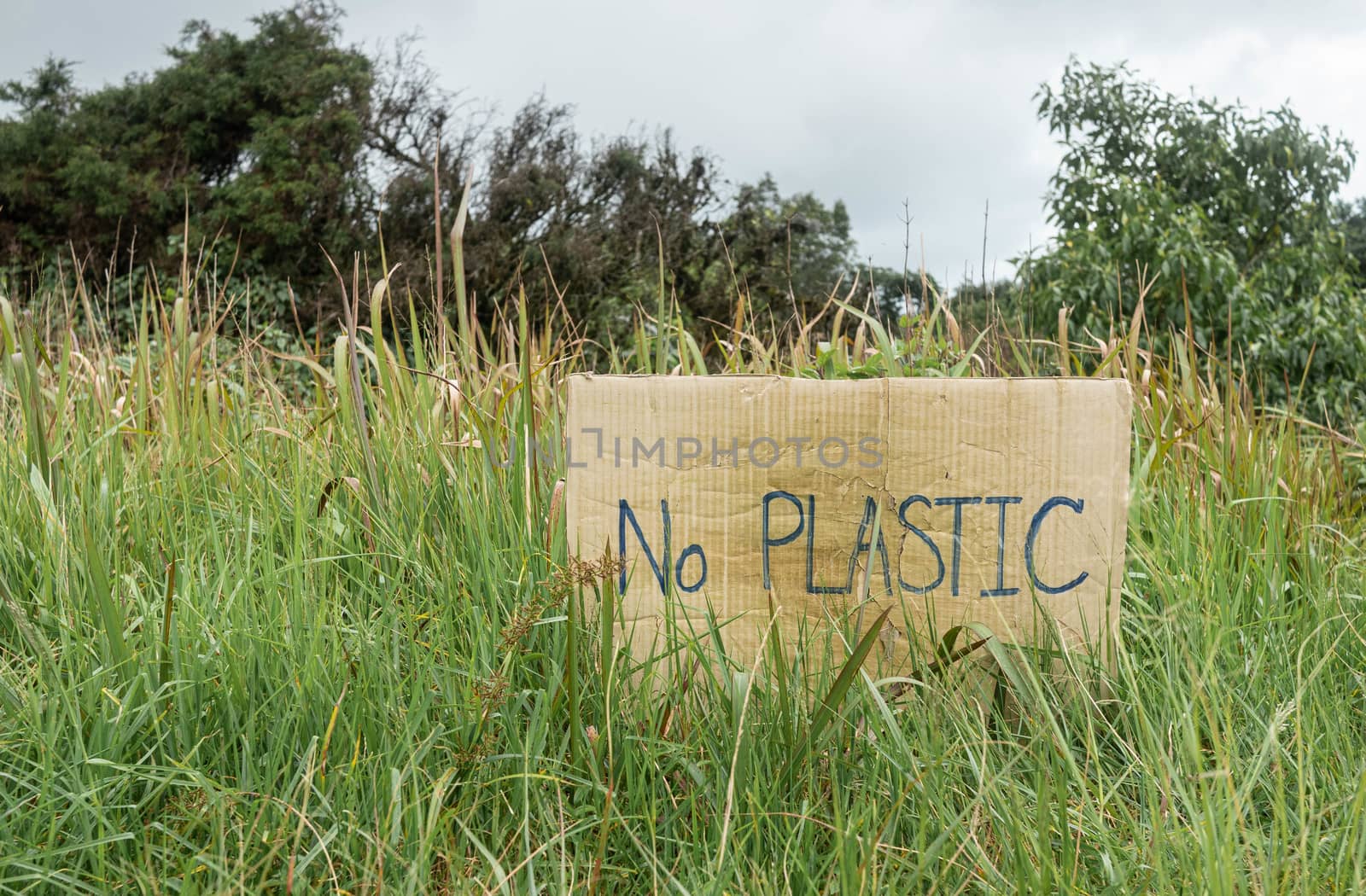 The nature conservation sign on nature background. The concept of World Environment Day. Zero waste.