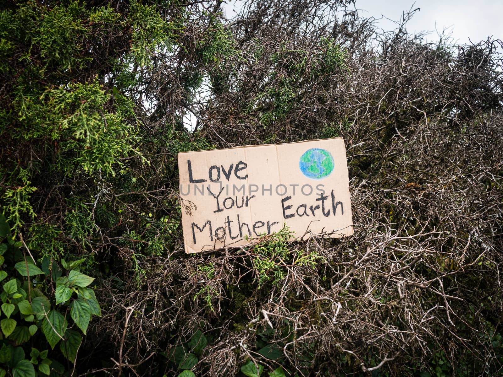 The nature conservation sign on nature background. The concept o by TEERASAK